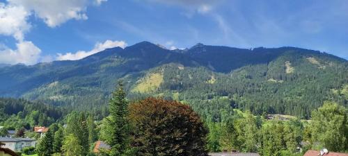Hinterstoder Apartment | Zentrale Wohnung an der Gondel & Naturblick