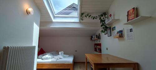Fie allo Sciliar Apartment | Zimmer mit Bad und Garagenparkplatz