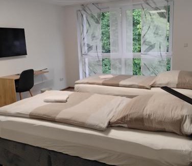 Geislingen an der Steige Apartment | Zimmervermietung-geislingen
