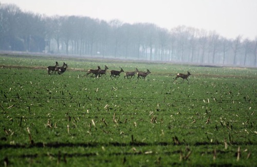 Ommen House | Zonnehuus