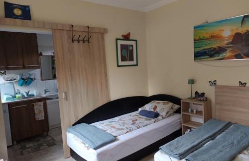 Hajduszoboszlo Apartment | Zsóka apartman