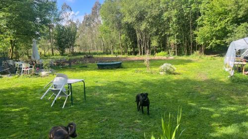 Morga Cabin | Zubizar