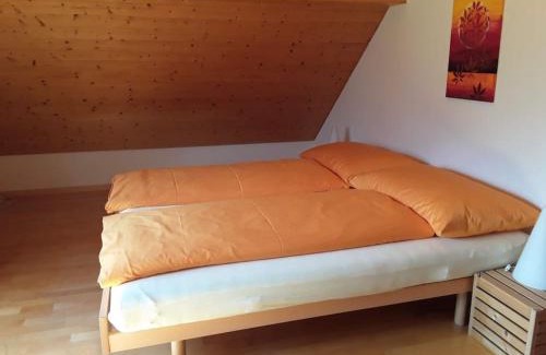 Neu St Johann Apartment | Zwinglis Ferienwohnung Rosi