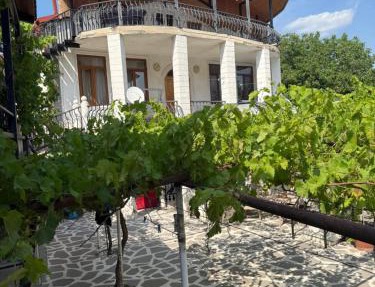 Home in Mtskheta
