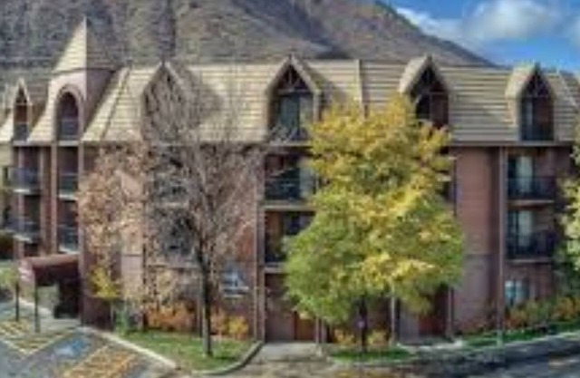 1 Bed/1 Bath Deluxe Durango, CO!