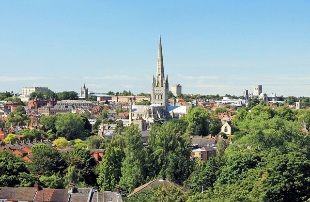 1 bedroom accommodation in Yaxham