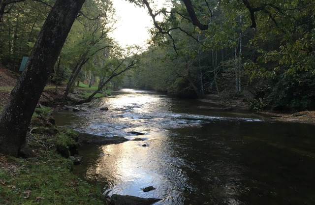 1-bedroom cabin just 23 minutes from Stone Mountain State Park