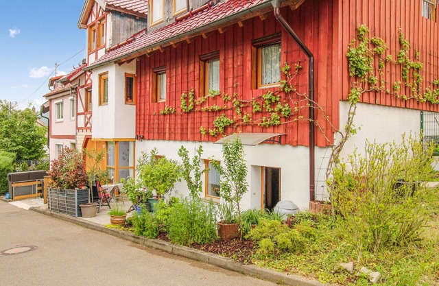 1 bedroom lovely apartment in Deggingen