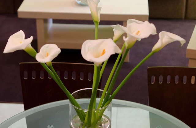 1 bedroom luxury apartment
