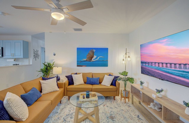 1 Mile To Honeymoon Island Beach Gear Included Free Pass To Honeymoon Fast Wi-fi