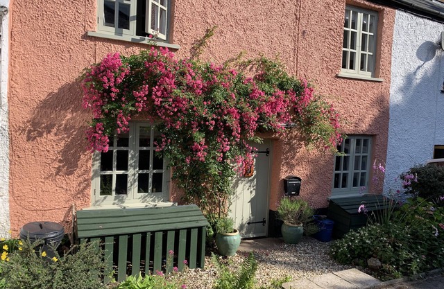 17th Century character cottage in pretty Devon village