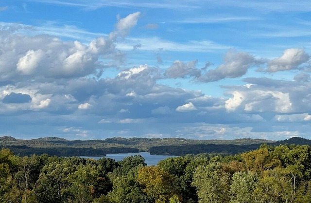 180 Degree Seneca Lake Views, privacy galore with hot tub. Sleeps 9n