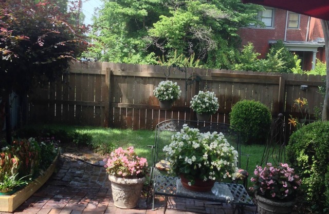 1882 Carriage House In The Heart Of The City!
