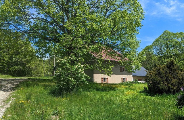 18th century farmhouse in the heart of a ski resort