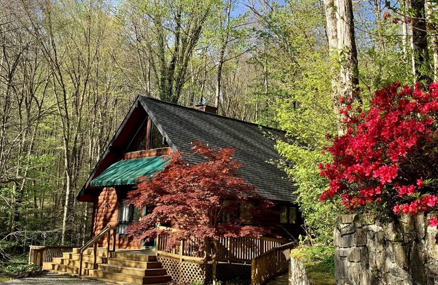 2 Bd 2 Ba Cabin Secluded with Wood Fireplace Rushing Creek Hot Tub Fire Pit