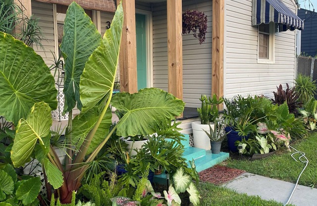 2 bed/1 bath in Quiet New Orleans Neighborhood