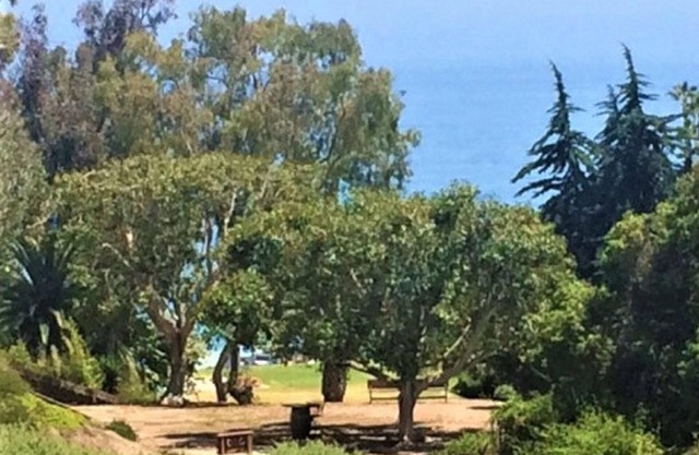 2 bedroom/2 bath - coastal canyon ocean view; walk to beach, pier and downtown!