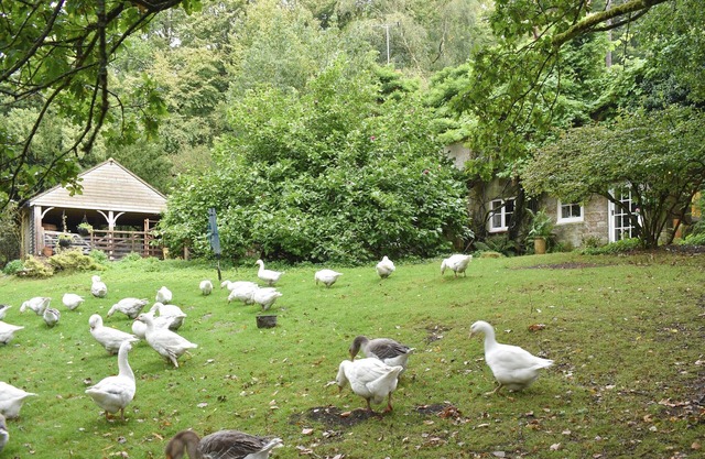 2 bedroom accommodation in Crowborough