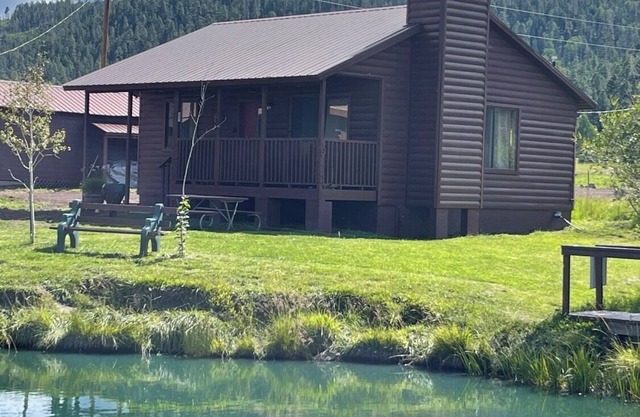 2 BR-1BA Log Cabin on Main Street. Stocked trout pond, porch, dogs ok.