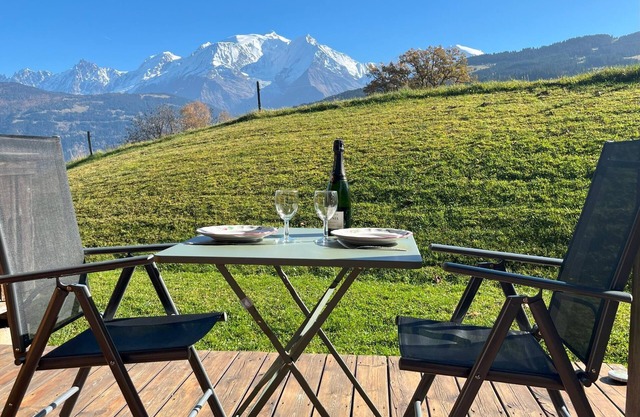 2 rooms with terrace view on Mt Blanc