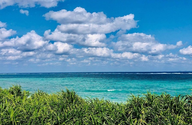 201AnthriumA hideout on the south islandThe room / Kunigami-gun Okinawa