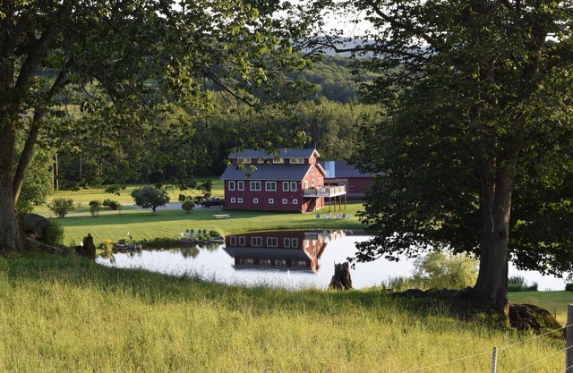 230 Acre Farm with Private Pond