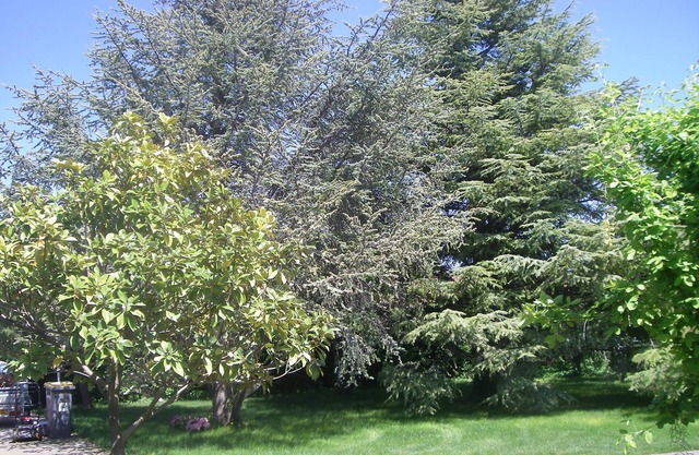 285 m² villa with 2500 m² enclosed and 9x4 swimming pool heated to 30°.