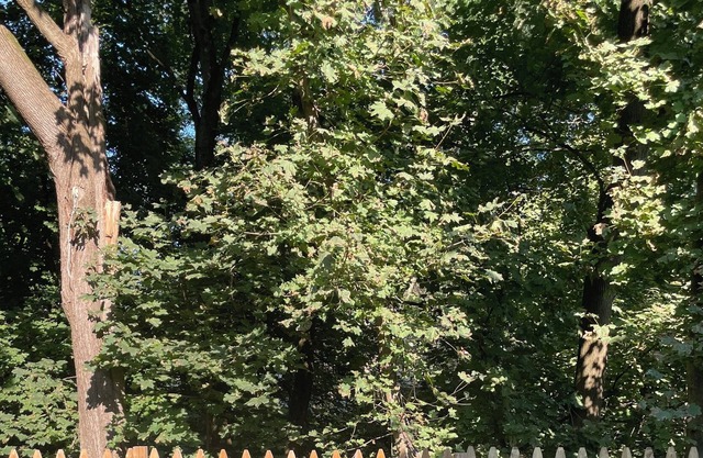 3 Bedroom - Hudson Valley House