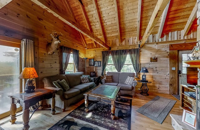 3-story lakefront rustic cabin w/pool table, private hot tub, gas fireplace, A/C
