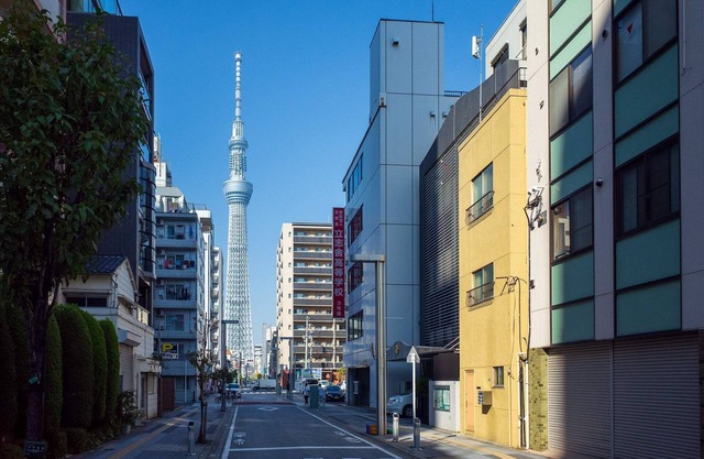 3F Facing Skdytree/6min stn/Direct NRT&HND&Disney