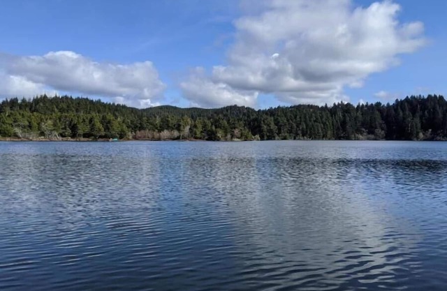 4 bedroom, 2 bath 1600 square foot Munsel lakefront home with dock
