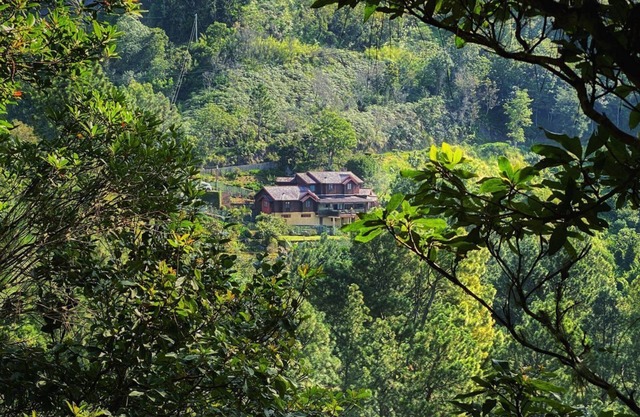 4 Bedroom Cottage, Greenwhich, Blue Mountains
