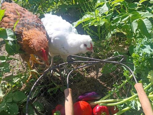 4 person holiday home in NYKVARN