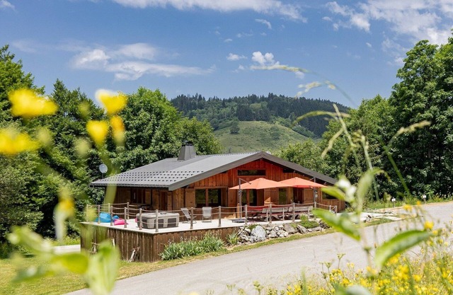 4-star chalet between lake and mountain, jacuzzi, sauna, opposite the slopes.