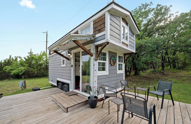 4 Tiny Town Modern Tiny Home Animals Fire Pit