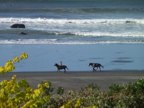 49 on Jans Beach Break