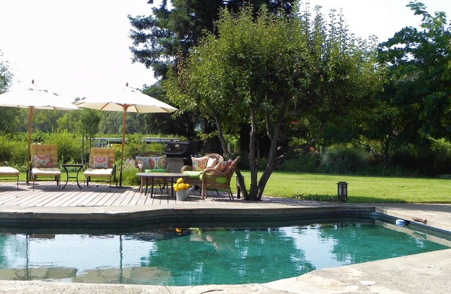 5 Bedroom Oakville Estate w/Pool, SPA and Guest studio
