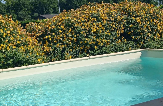 5 min from Sarlat Gîte l'olivier with jacuzzi, ideal for 2/4 people