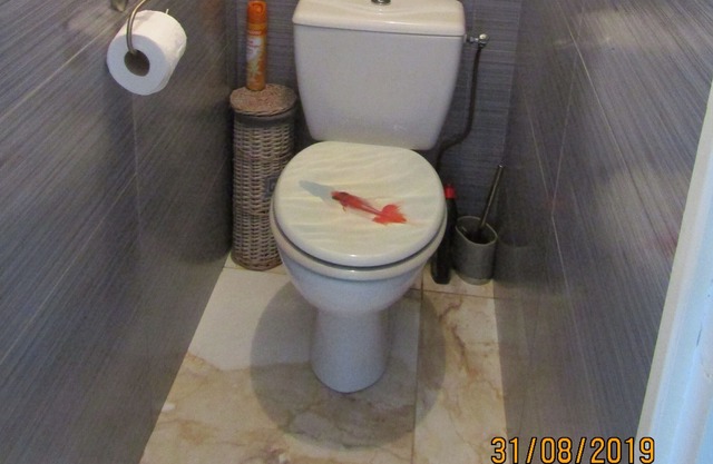 50 M from the beach, direct access without road to cross, studio cabin SEA VIEW