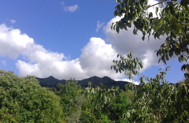 55 minutes from Porto! Quiet house farm in the mountains! Amarante!