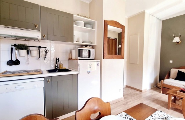 6-PERSON APARTMENT VALLOUISE-PELVOUX