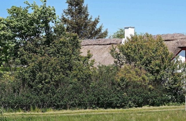 6 person holiday home in Vesløs