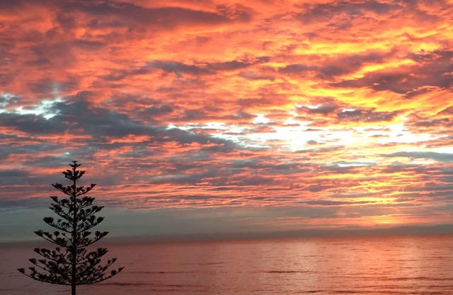 ' 79'nMIN STAY 1 MONTH Napier Westshore nBEACHFRONT APARTMENT.
