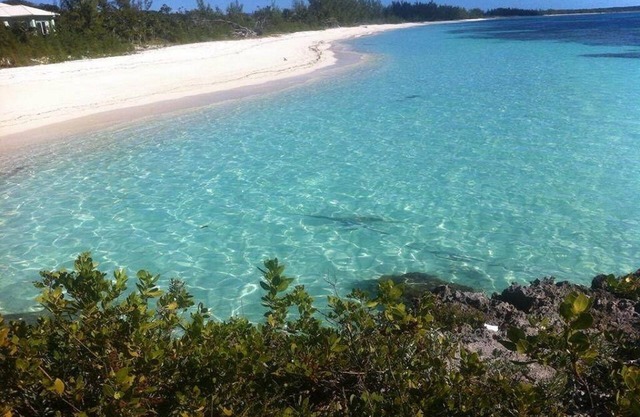 9 Acres of Pure Bahamas