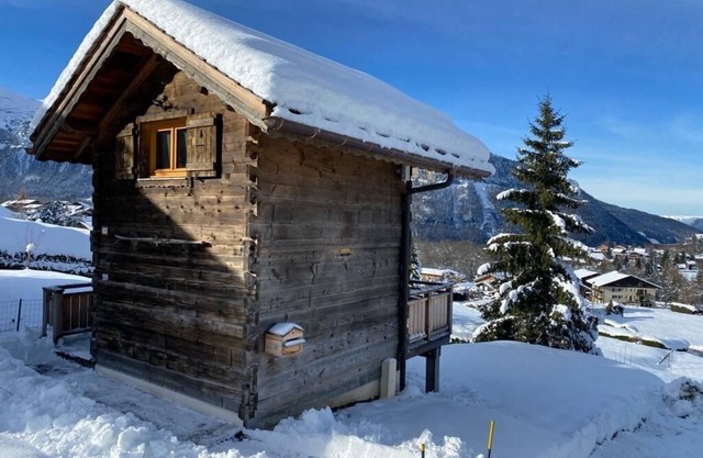 A 50 m des Pistes, Joli Mazot de Bois Traditionnel, Belles Prestations