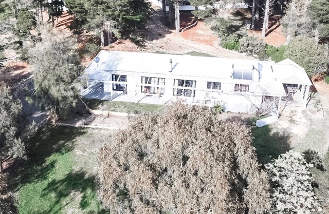 A charming cottage amongst a pine forest close to Canberra