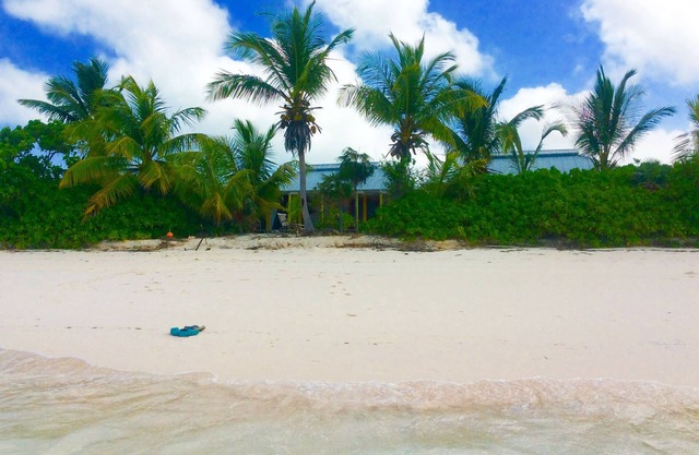A Home On The Beach For The Two Of You As Well As Your Kids And Your Pet