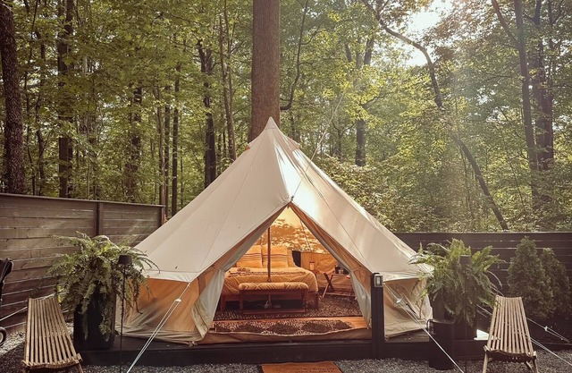 A luxurious glamping tent nestled in the trees.