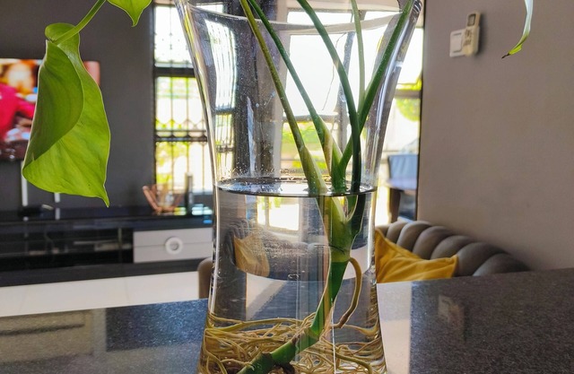 A Modern home, in the heart of the city, 2 minutes to the biggest shopping mall