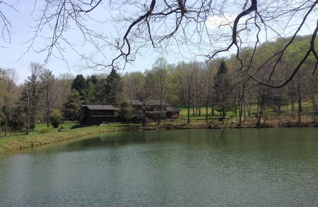 A Modern House in a Large Nature Reserve in Ligonier Valley!